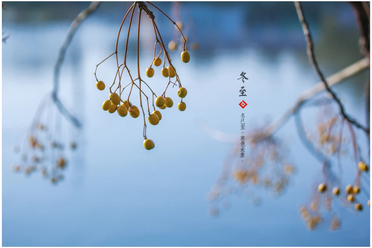 冬至已至，春歸有期